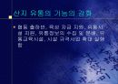 `농산물 유통 정책과 정부기능` 14페이지