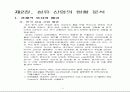 [섬유산업] 한국 섬유산업의 활성화 발전방안에 관한 연구 5페이지