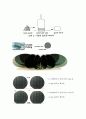 반도체는 무엇인가? &반도체 제조공정에 대해서... 24페이지