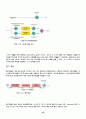 CDMA의 발전방향과 서비스 방식 44페이지