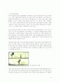 [디자인의 이해] 애니메이션 기법 연구 - 다양한 제작방식과 리미티드 기법 16페이지