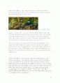 [디자인의 이해] 애니메이션 기법 연구 - 다양한 제작방식과 리미티드 기법 32페이지