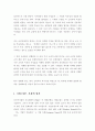 한국 소비자에 맞는 마케팅 방법 2페이지