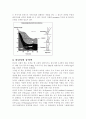 런닝시의 신체 역학 2페이지