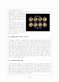 오존층파괴 8페이지