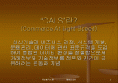 CALS의개념및설명 2페이지