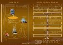 CALS의개념및설명 16페이지