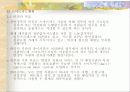 선진국의 전자정부 사례 4페이지