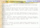 선진국의 전자정부 사례 5페이지