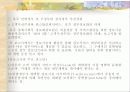 선진국의 전자정부 사례 7페이지