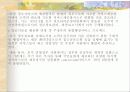 선진국의 전자정부 사례 10페이지