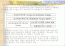 선진국의 전자정부 사례 13페이지