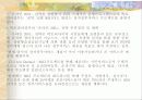 선진국의 전자정부 사례 14페이지