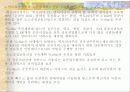 선진국의 전자정부 사례 15페이지