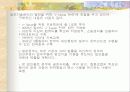 선진국의 전자정부 사례 16페이지