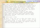 선진국의 전자정부 사례 17페이지