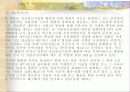 선진국의 전자정부 사례 18페이지