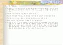 선진국의 전자정부 사례 24페이지