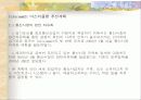 선진국의 전자정부 사례 28페이지