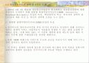선진국의 전자정부 사례 29페이지