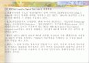 선진국의 전자정부 사례 32페이지