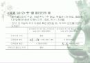 주식시장 옵션 7페이지