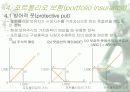 주식시장 옵션 8페이지