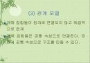 데이타 모델링 31페이지