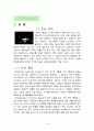 위성위치확인시스템[GPS] 3페이지