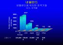 네델란드의 기업환경 33페이지