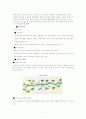 청계천 복원 사업 계획 연구 7페이지