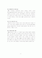 중.소 도소매업체의 ERP시스템의 개념적도입에 고찰 12페이지