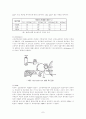 콜레스테롤(cholesterol) 7페이지