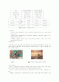[자연과학] 솔잎혹파리 8페이지