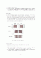 골격근의 구조와 기능 3페이지