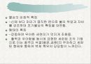 백제 사방불의 기원과 예산석주사방불의 연구 19페이지