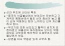 백제 사방불의 기원과 예산석주사방불의 연구 20페이지