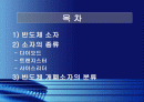 반도체소자의 종류 및 특징 2페이지