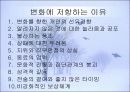 학습조직 21페이지