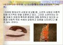 페미니즘과 문학(그녀의 여자) 18페이지