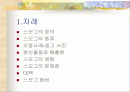 스모그의 정의와 종류 및 문제점과 대책 2페이지