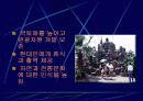 상업과 서비스업 5페이지