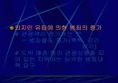 상업과 서비스업 8페이지
