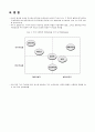 동남아 국가별 소프트웨어 시장 분석 30페이지