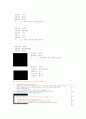 파파이스 15페이지