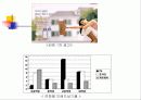 2% 마케팅 전략 13페이지