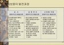 표준화와 품질보증시스템 23페이지