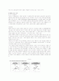 광고의 개념과 성공사례 3페이지