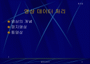 멀티미디어 2페이지