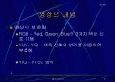멀티미디어 10페이지